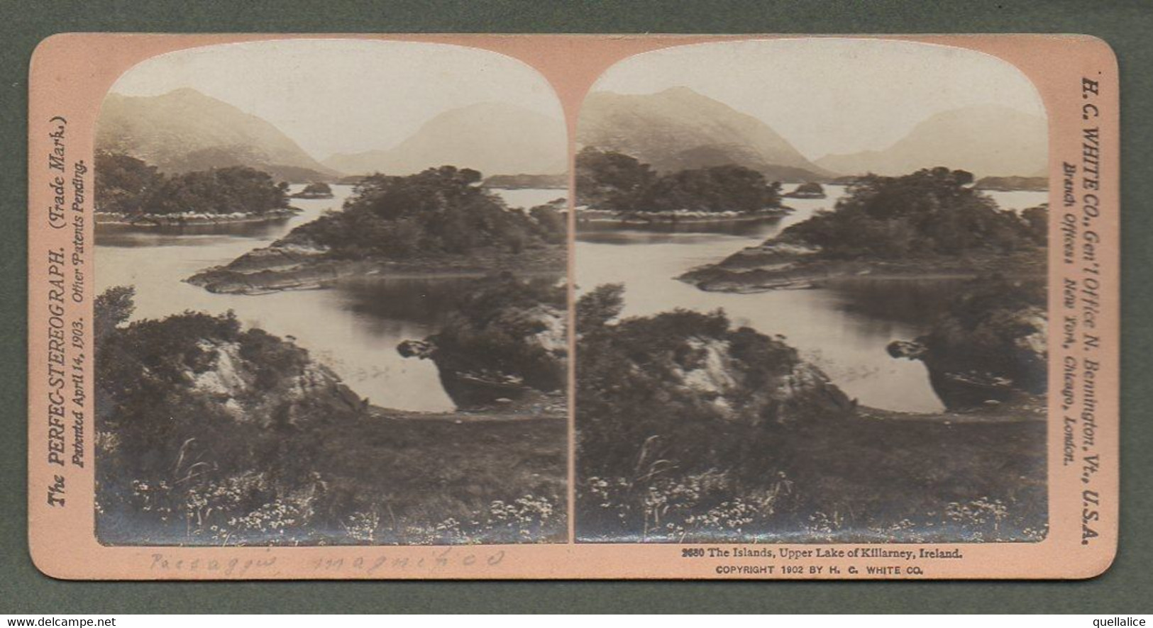 02152 "2680 THE ISLANDS, UPPER LAKE OF KILLARNEY, IRELAND - 1902" STEREOSCOPICA ORIG. - Stereoscope Cards