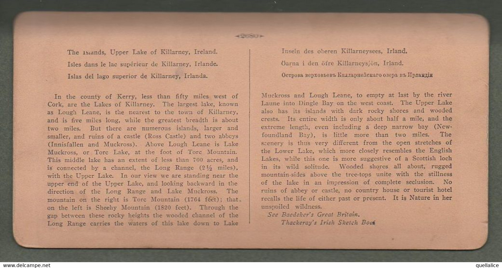 02152 "2680 THE ISLANDS, UPPER LAKE OF KILLARNEY, IRELAND - 1902" STEREOSCOPICA ORIG. - Stereoscope Cards