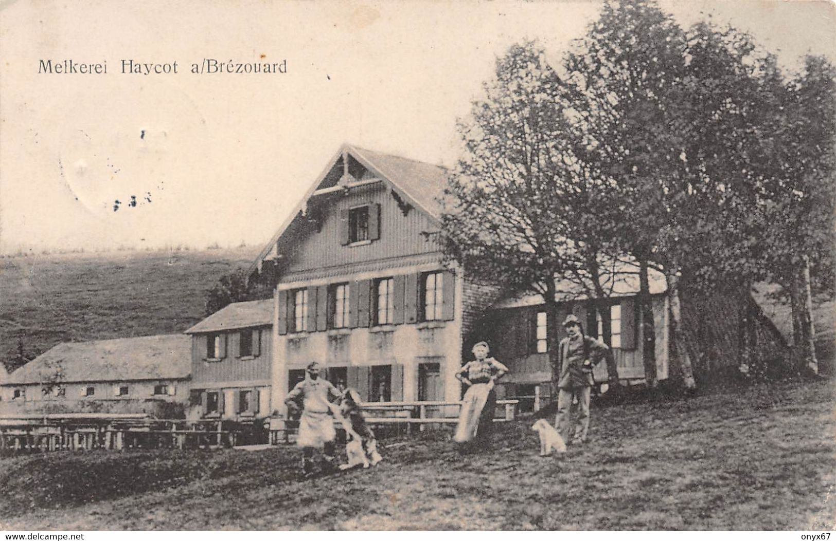 Ferme Auberge Chaume Refuge Vallée Sainte-Marie Aux Mines Melkerei Brézouard (68-Haut-Rhin)  - VOIR 2 SCANS - - Sainte-Marie-aux-Mines