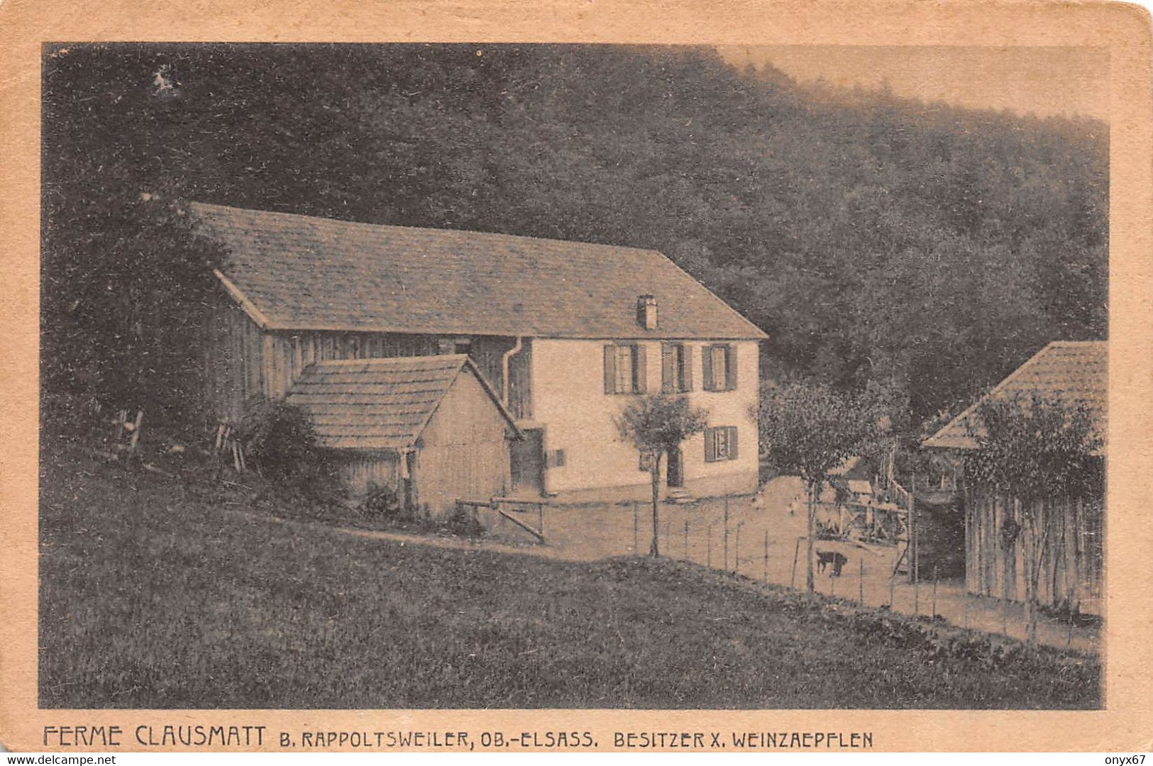 Ferme Auberge Chaume Refuge Vallée RIBEAUVILLE Melkerei Ferme Clausmatt (68-Haut-Rhin)  - VOIR 2 SCANS - - Ribeauvillé