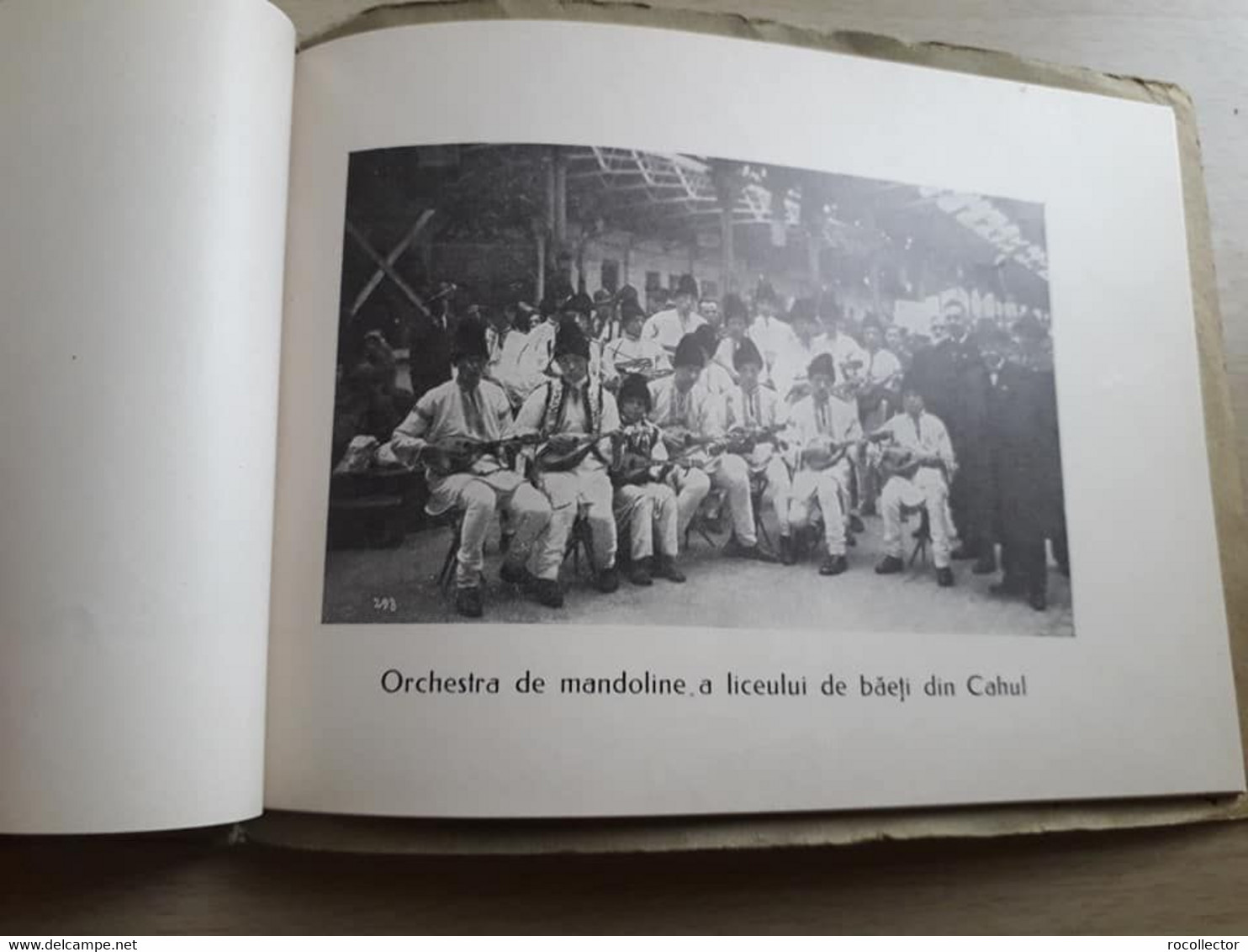 Tinerimea Română 1934 Chisinau Sibiu Tecuci Carei Beius Orastie Lugoj Oradea Cahul Deva Satu Mare Sibiu Oas