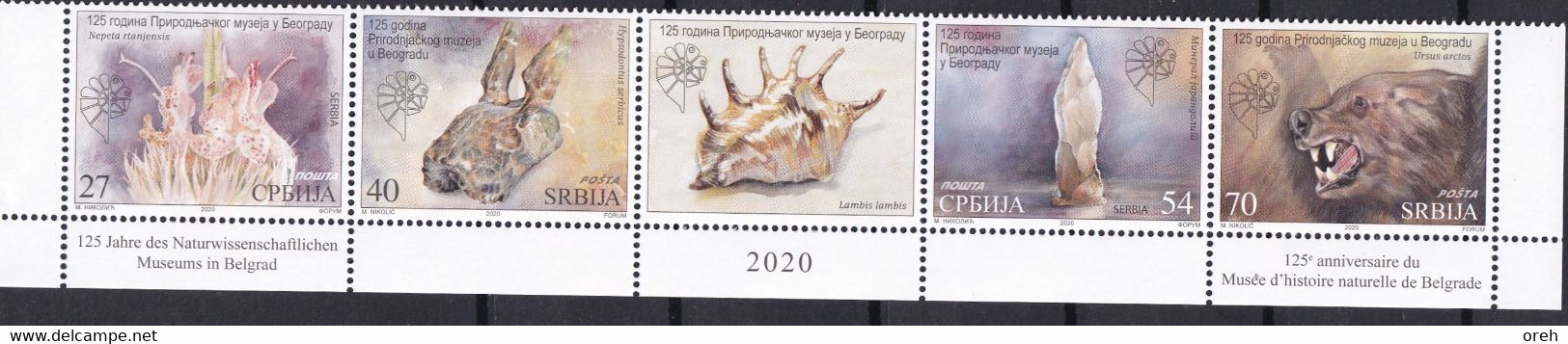 SERBIA 2020,,HISTORY MUSEUM IN BELGRADE,MINERAL JARANDOLITE,FOSSIL,BEAR,,VIGNETTE LAMBIS LAMBIS,,MNH - Servië