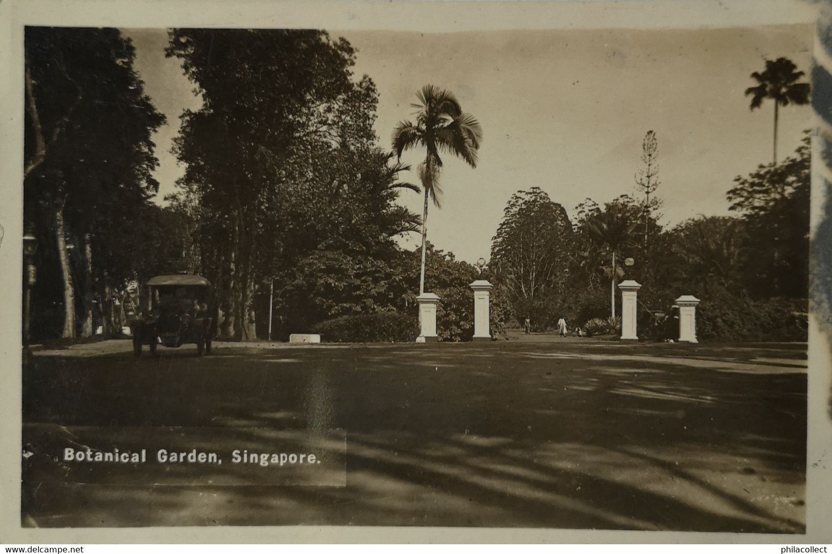 Singapore // Carte Photo - RPPC // Entrance Botanical Garden (Automobile) 19?? - Singapour