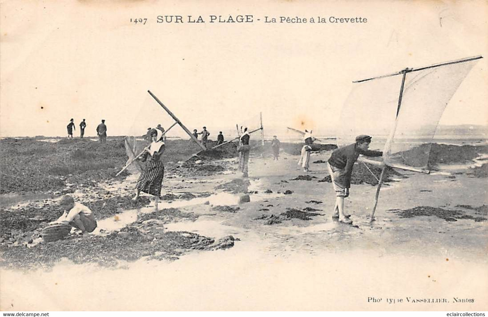 Thème:  Pêche à La Crevette .   Lot De 9 Cartes   Majorité Loire Atlantique   44  -   (voir Scan) - Fishing