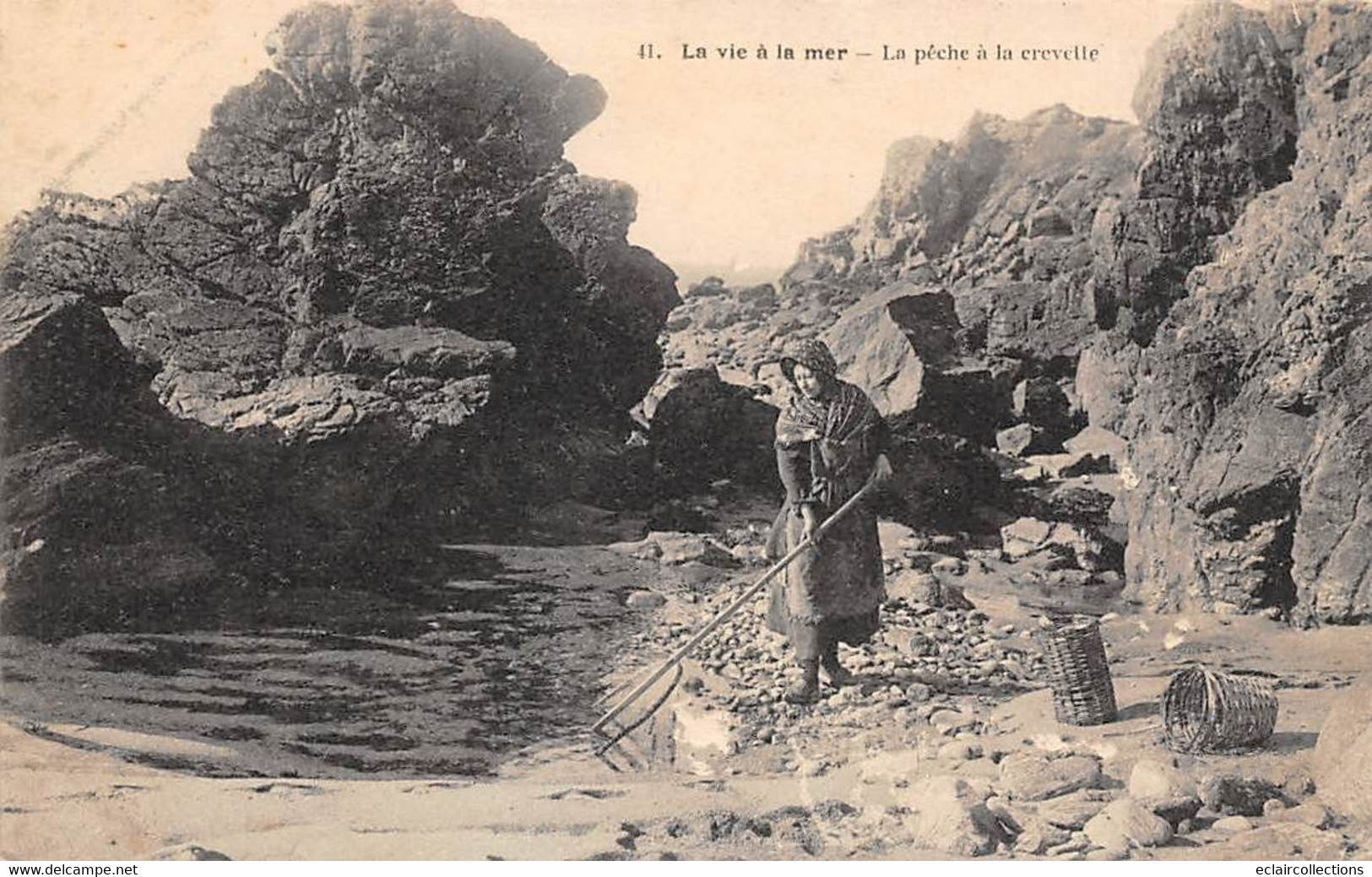 Thème:  Pêche à la crevette .   Lot de 9 cartes   Majorité Loire Atlantique   44  -   (voir scan)