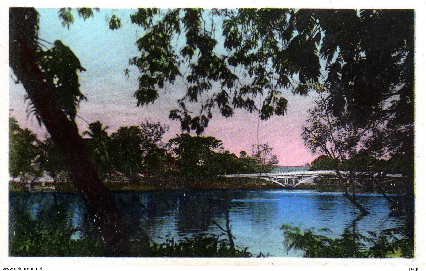 Sud-Viêt-Nam : Saigon : Le Jardin Botanique ( Cpsm P.F. ) - Vietnam