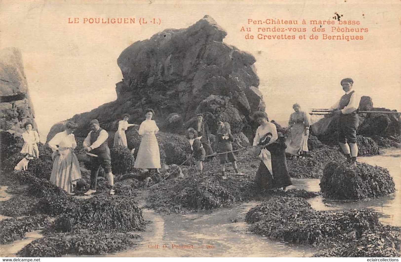 Thème:  Pêche à La Crevette .   Lot De  10  Cartes    Dpt Loire Atlantique        (voir Scan) - Fishing