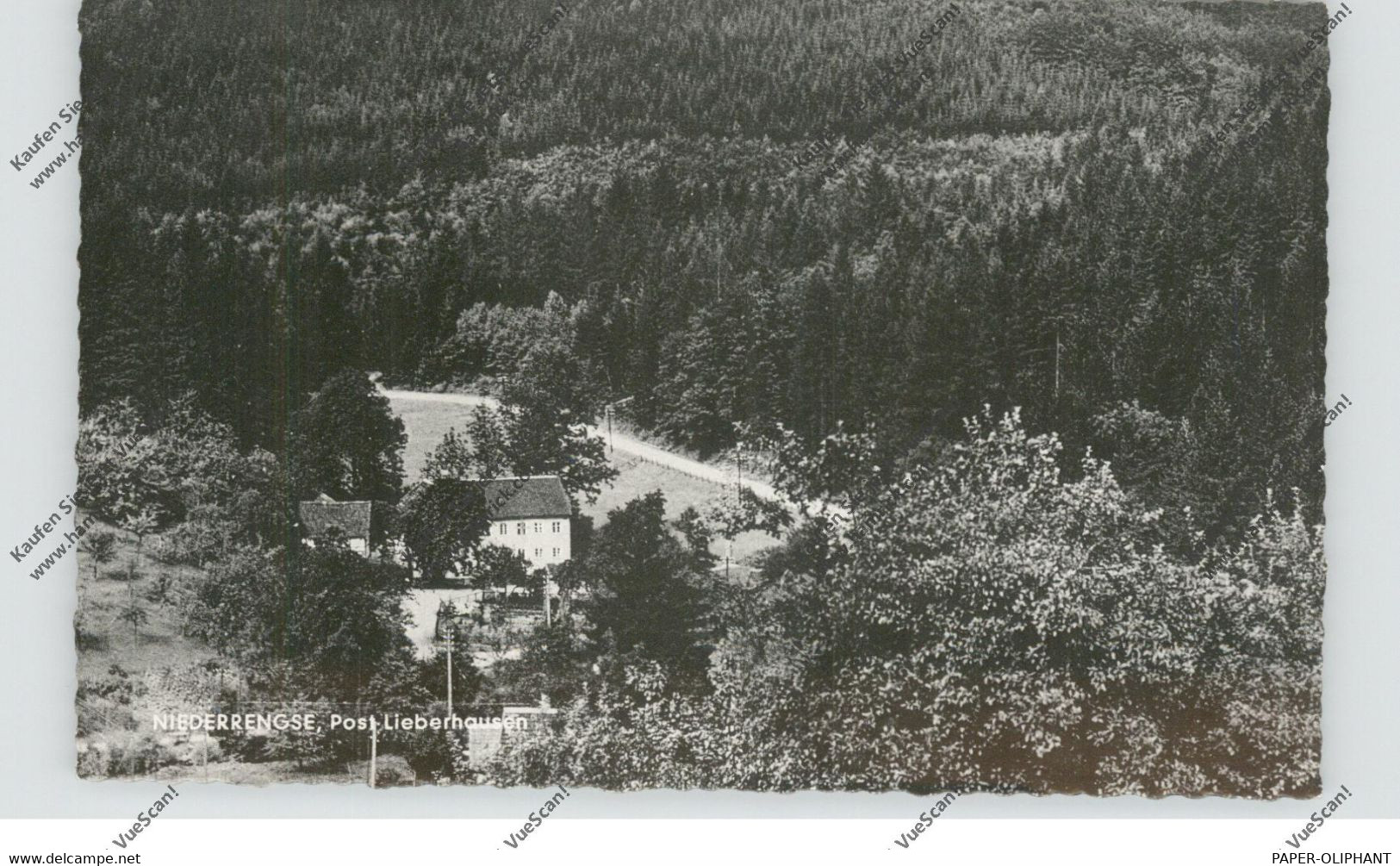 5275 BERGNEUSTADT - NIEDERRENGSE, Gastwirtschaft Albert Lenz - Bergneustadt