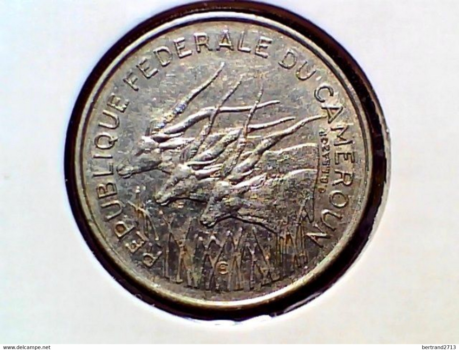 Cameroon 100 Francs 1971 KM 15 - Camerun