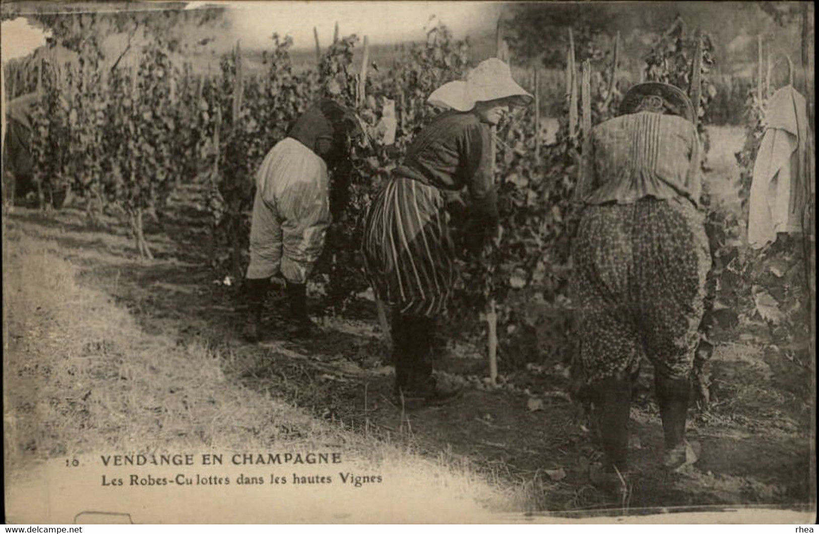 VENDANGES EN CHAMPAGNE - Robes-Culottes Dans Les Vignes - Champagne - Ardenne