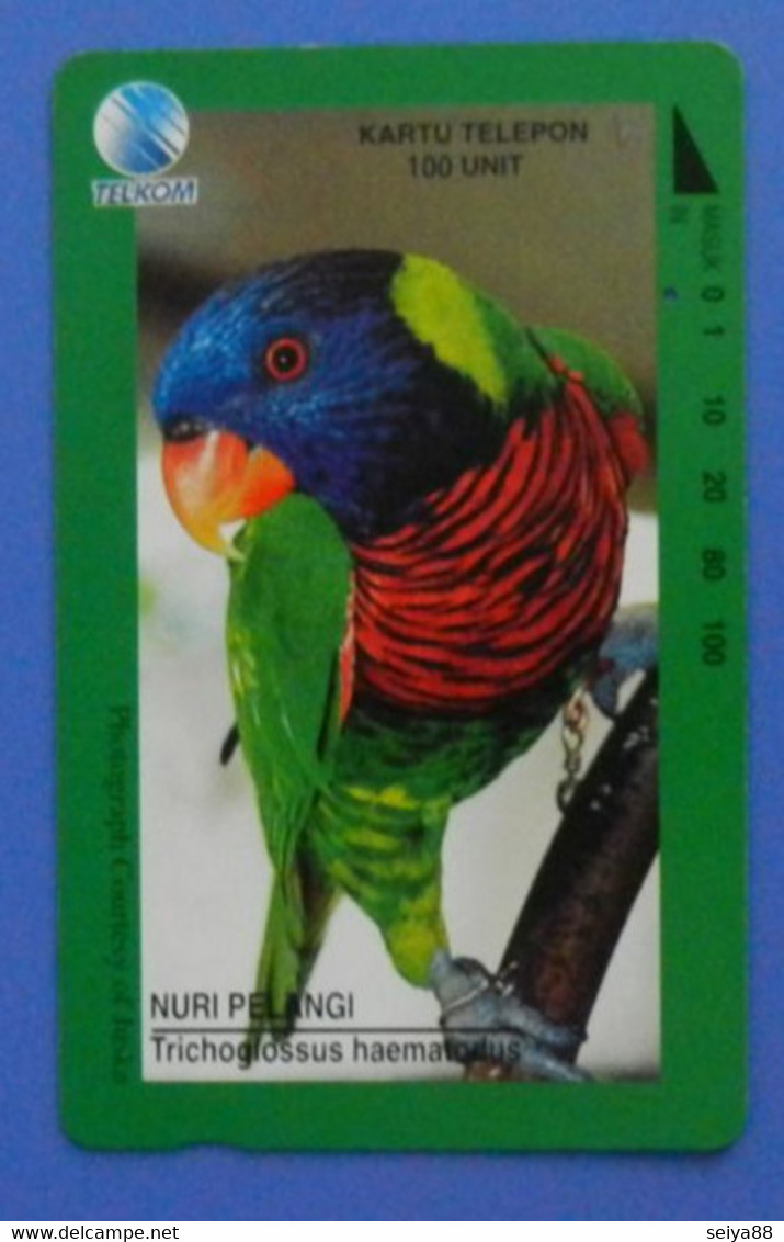 Indonesia Pappagallo Parrot Bird Birds Uccello Kartu Telepon Telkom Nuri Pelangi Rainbow Lori - Pappagalli