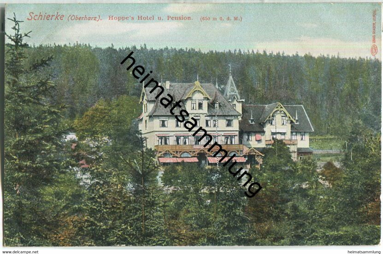 Schierke Im Harz - Hoppe's Hotel Und Pension - AK Ca. 1910 - Verlag Louis Glaser Leipzig - Schierke