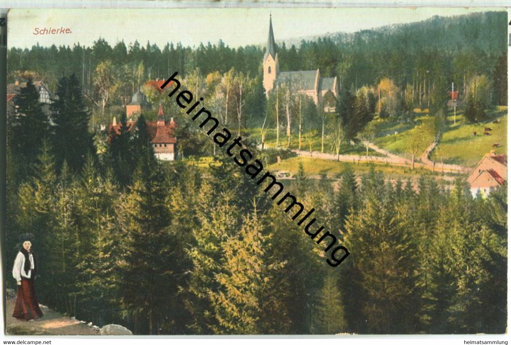 Schierke Im Harz - Gesamtansicht - AK Ca. 1910 - Schierke