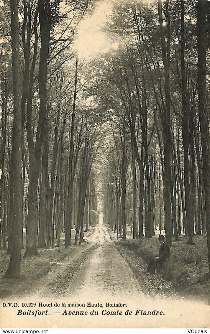 033 435 - CPA - Belgique - Watermaal-Bosvoorde - Watermael-Boitsfort - Avenue Du Comte De Flandre - Watermaal-Bosvoorde - Watermael-Boitsfort