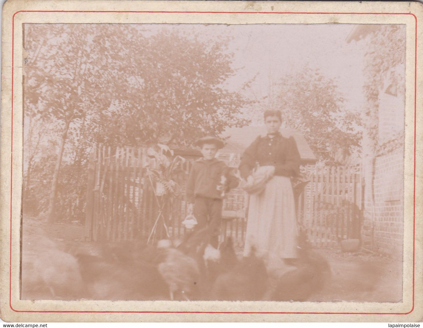 Photo Albuminé Goderville Madame Dupuis Née Louise Perrier Et Son Fils Nourrissant Les Poules 1890  Réf  2667 - Goderville