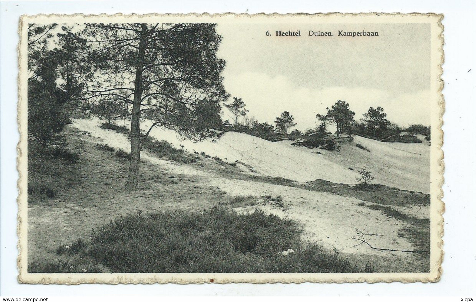 Hechtel  Duinen ( Gelopen Kaart ) - Hechtel-Eksel