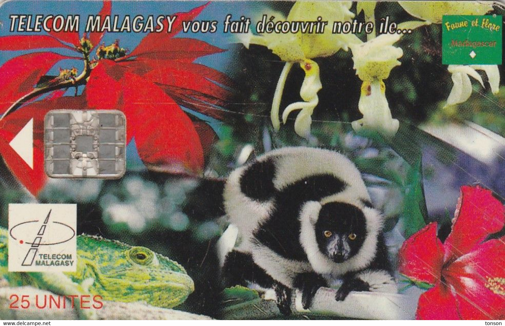 Madagascar,  MDG-19a,  Nature Of Madagascar, Monkey, 2 Scans   Expiry 12/00 - Madagascar
