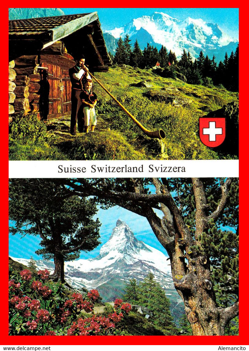 ZUIZA - PANORAMICA DE LOS ALPES TARJETA POSTAL JUNGFRAU 4158 - Altri & Non Classificati