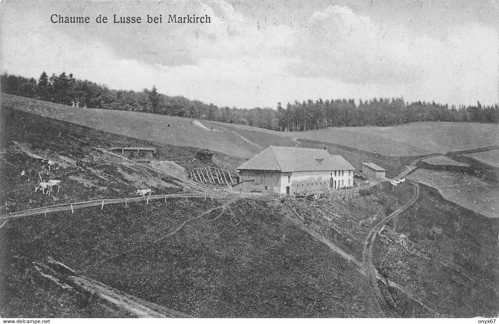 Chaume-Ferme-Auberge-Lusse-Sainte-Marie Aux Mines-Sainte-Croix Aux Mines-Drahtseibahn-EBERHARDTBAHN-Endstation-14/18 - Autres & Non Classés