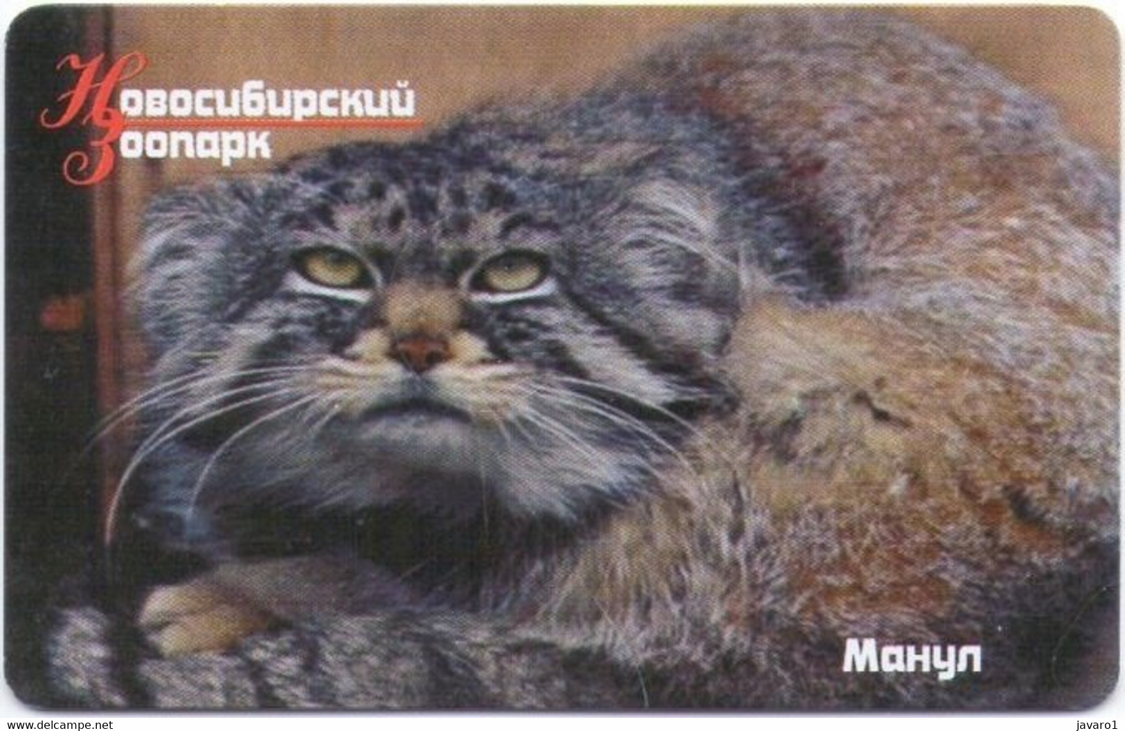 NOVOSIBIRSK AOA/HCO : 056050 200bit Wild Cat Manul     CH29 USED - Russia