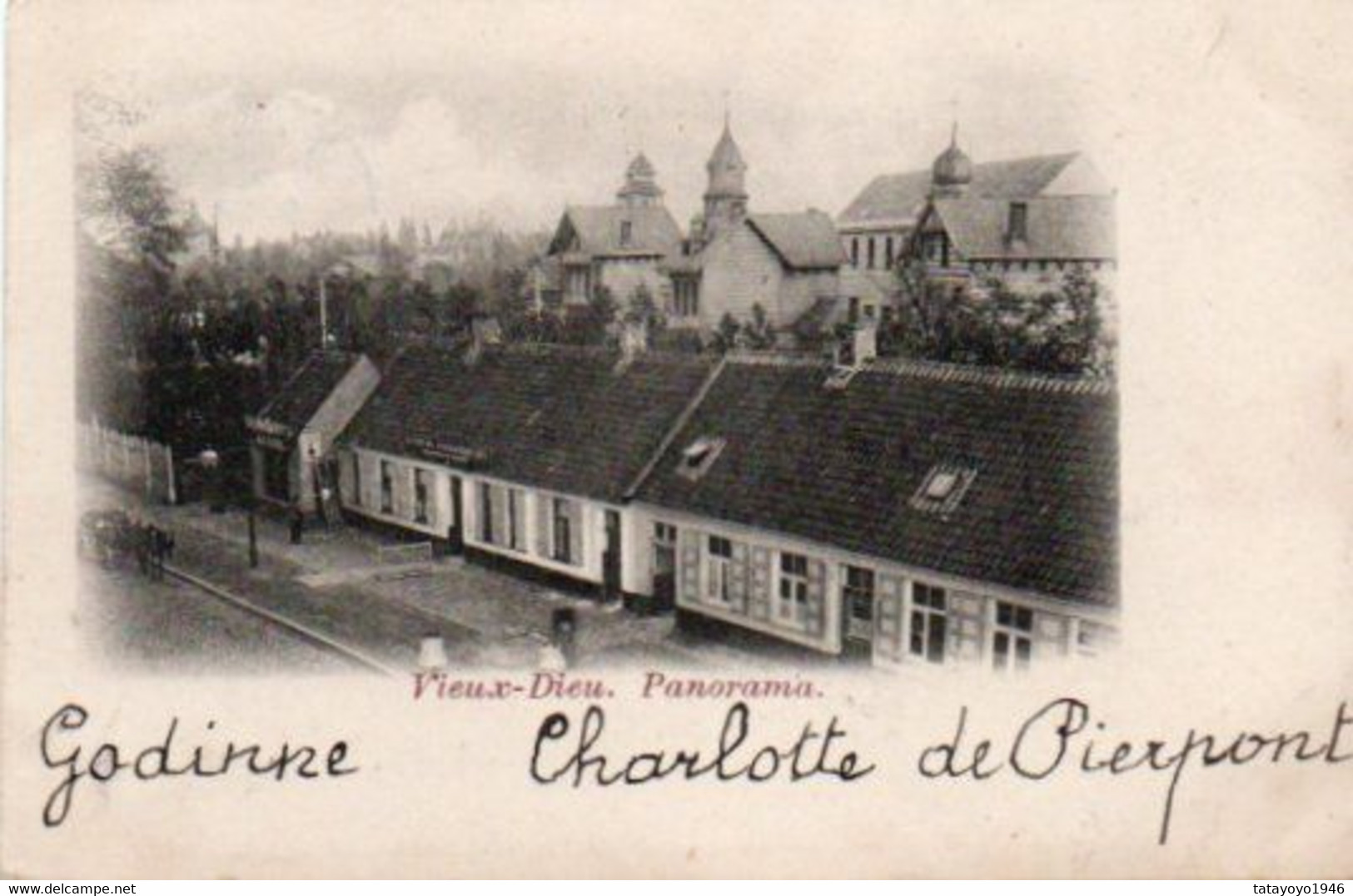 Vieux-Dieu Panorama Circulé En 1901 - Mortsel