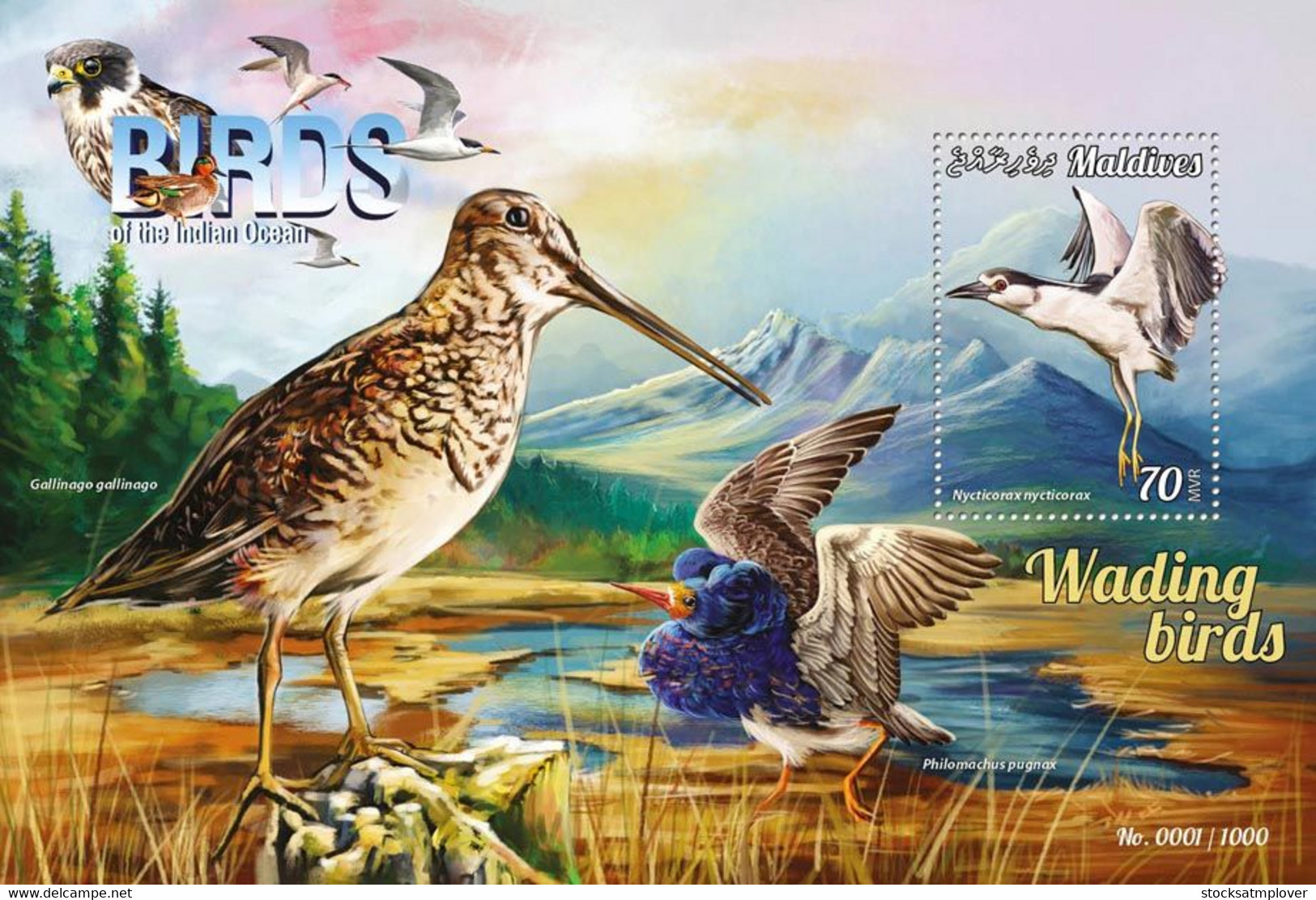 Maldives  2015 Fauna  Wading Birds - Maldives (1965-...)