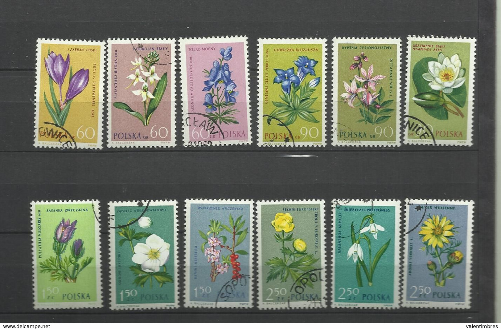 Pologne   YT  Oblitérés 1185/96 Fleurs  Flore Flowers  Poland Polska Polen - Altri & Non Classificati