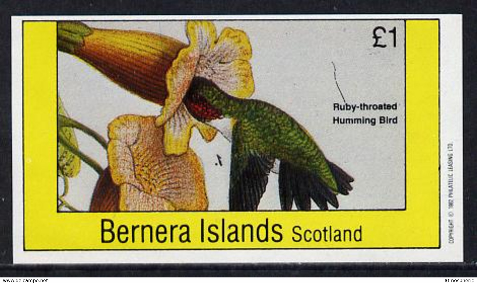 Bernera 1982 Humming Bird Imperf Souvenir Sheet (£1 Value) U/M - Unclassified