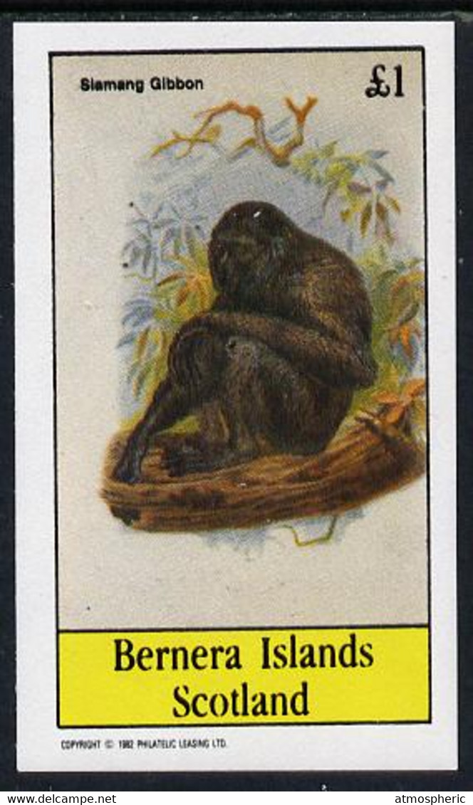 Bernera 1982 Primates (Siamang Gibbon) Imperf Souvenir Sheet (£1 Value) U/M - Sin Clasificación