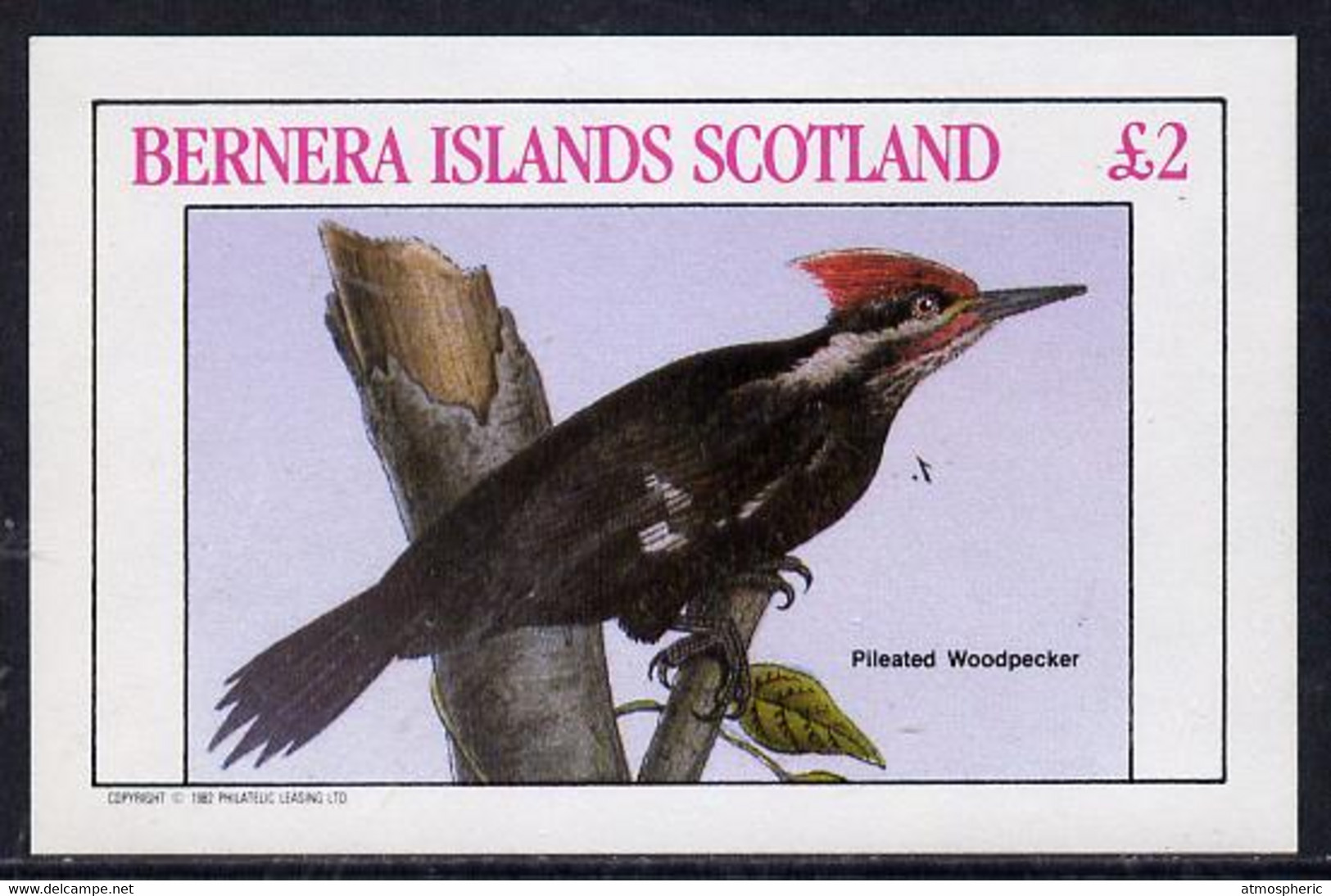 Bernera 1982 Woodpecker Imperf Deluxe Sheet (£2 Value) U/M - Scotland