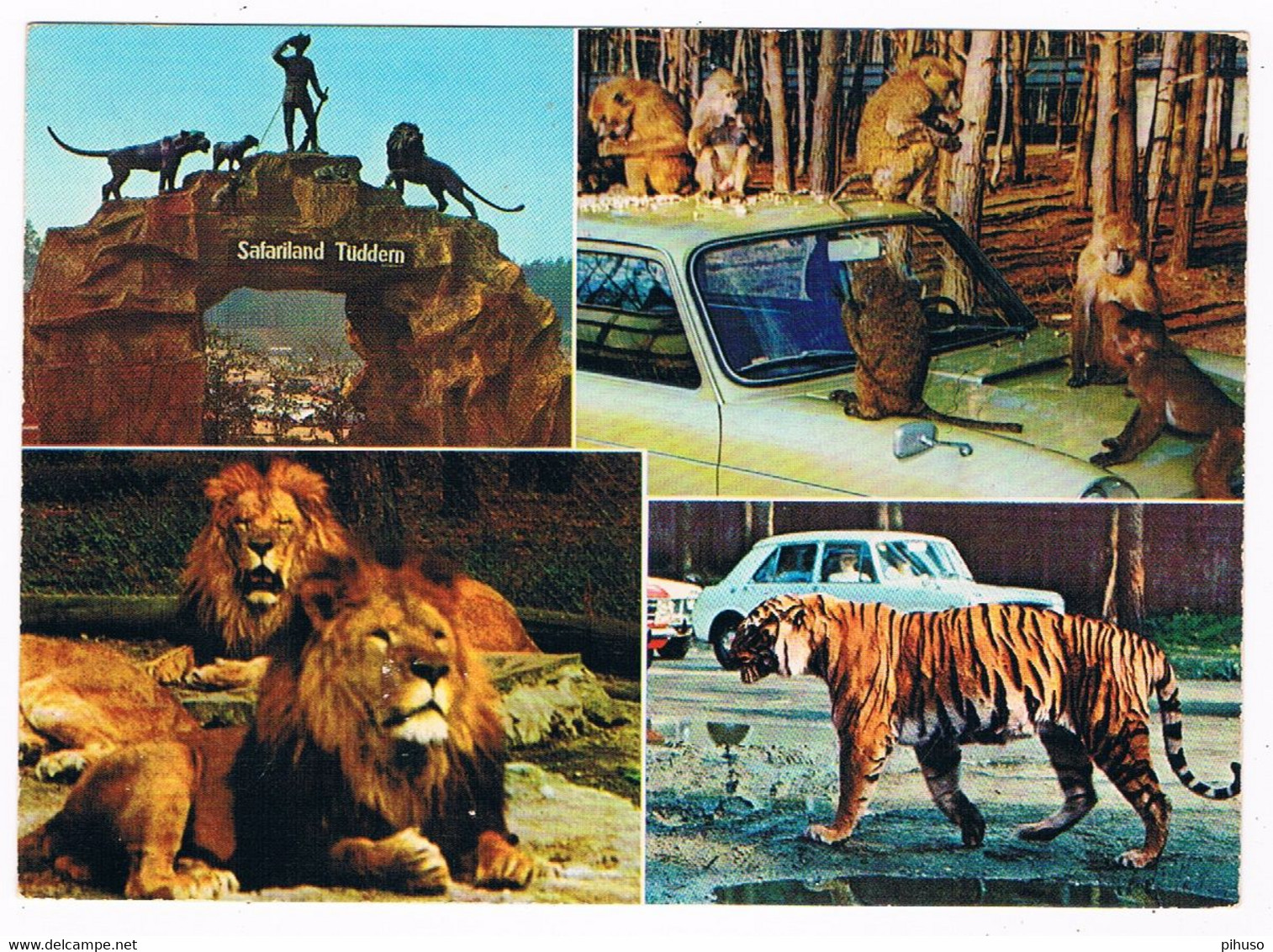 D-11674   TÜDDERN : Löwen,Tiger Und Grosswild-auto-safari : Safariland ( Zoo, Dierentuin ) - Heinsberg