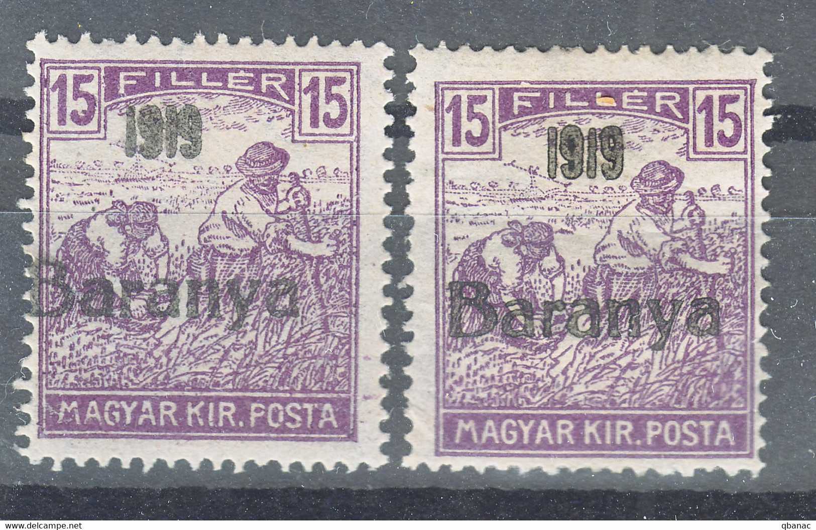 Hungary Baranya 1919 Mi#22 Normal And Offset Overprint, Mint Hinged - Baranya