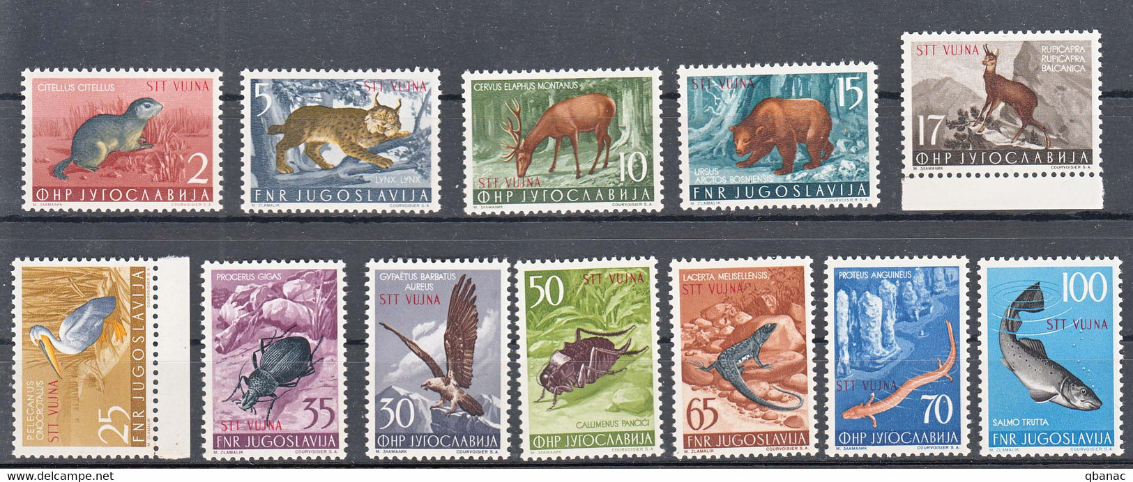 Italy Yugoslavia Trieste Zone B, Animals 1954 Mi#123-134, Sassone#101-112 Mint Never Hinged - Nuevos