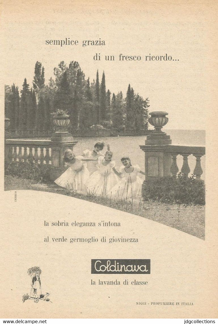 # LAVANDA COLDINAVA NIGGI IMPERIA 1950s Advert Pubblicità Publicitè Reklame Perfume Parfum Profumo Surf - Non Classificati