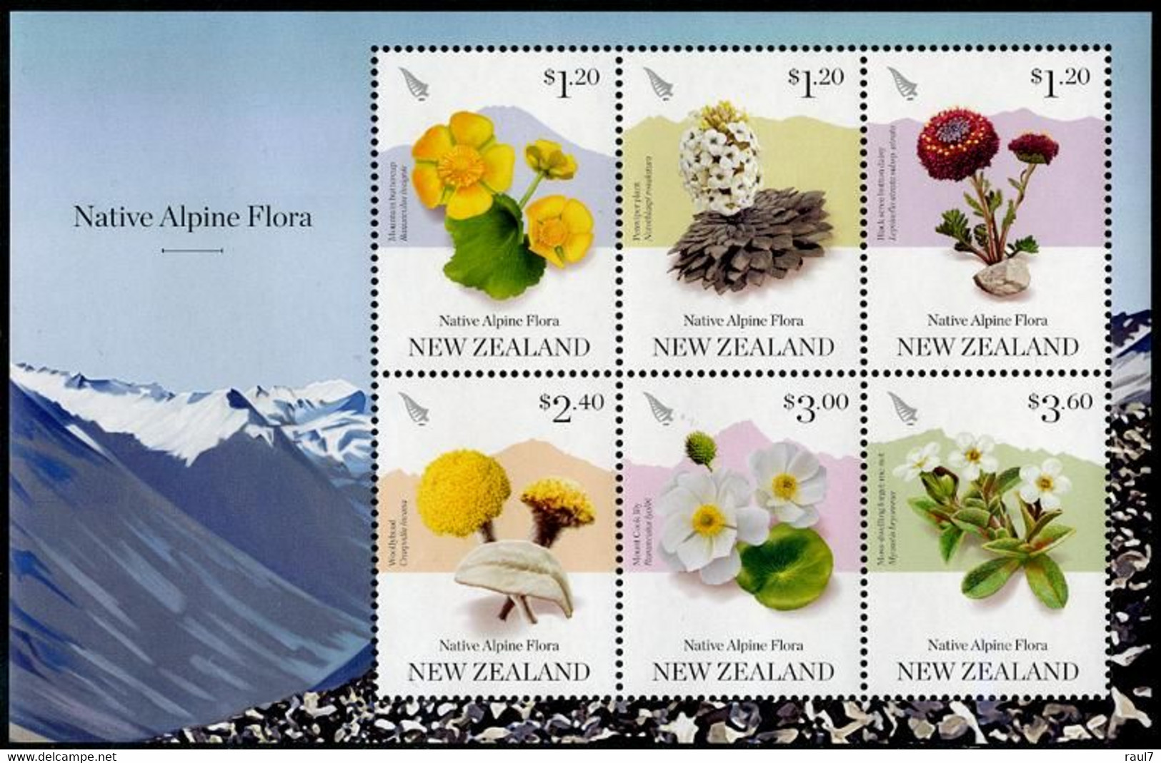 New Zealand 2019 - Fleurs Sauvages - BF Neuf // Mnh - Nuovi