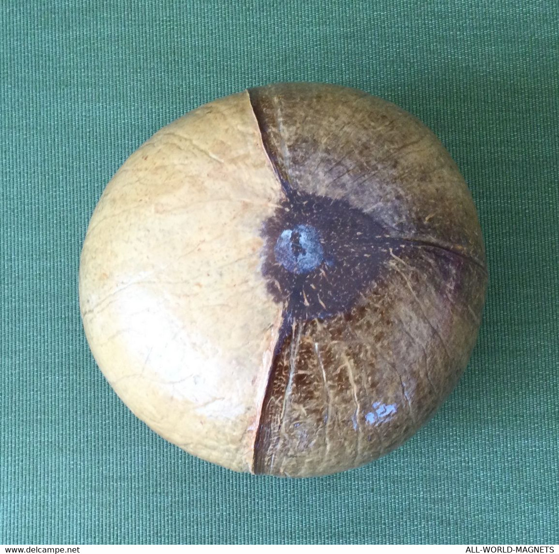 Handmade Decorative Coconut Bowl From Seychelles - Portate