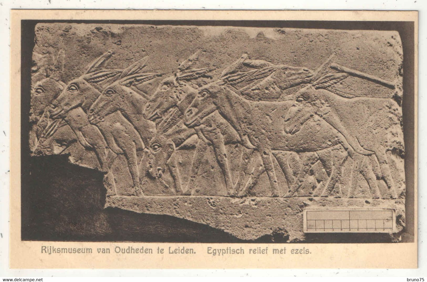 Rijksmuseum Van Oudeheden Te Leiden - Egyptisch Relief Met Ezels - Antiquité