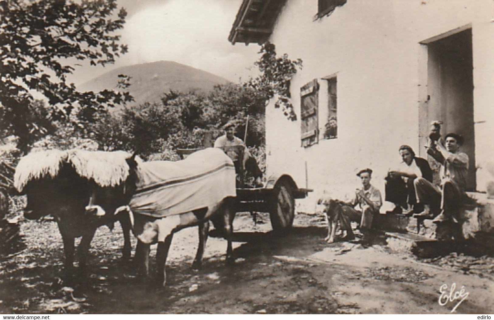 *** 64 /65  *** Pays Basque Cour De Ferme - TTB Neuve - Bauernhöfe