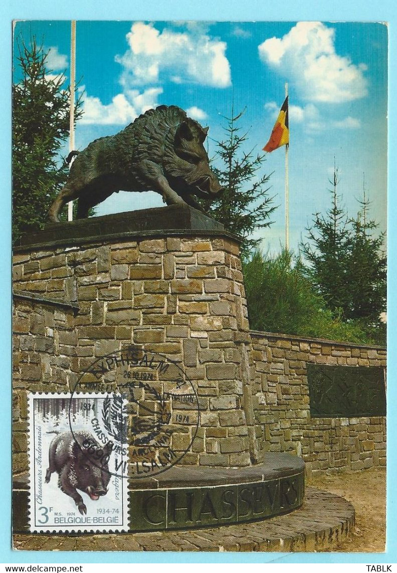 2315 - BELGIE - MAXIMUMKAART - ZEGEL NR 1733 - VIELSALM - MARTELANGE - MONUMENT AUX CHASSEURS ARDENNAIS - 1974 - Sonstige & Ohne Zuordnung