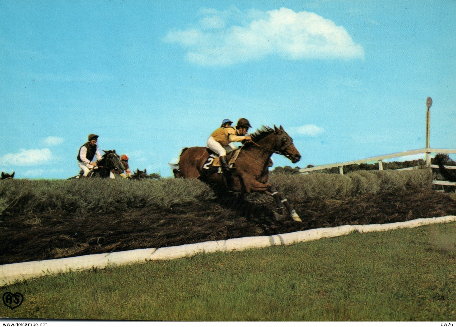 Hippisme - Hippodrome De La Carrière, Durtal (Maine-et-Loire) Course D'Obstacle - Edition Artaud - Reitsport