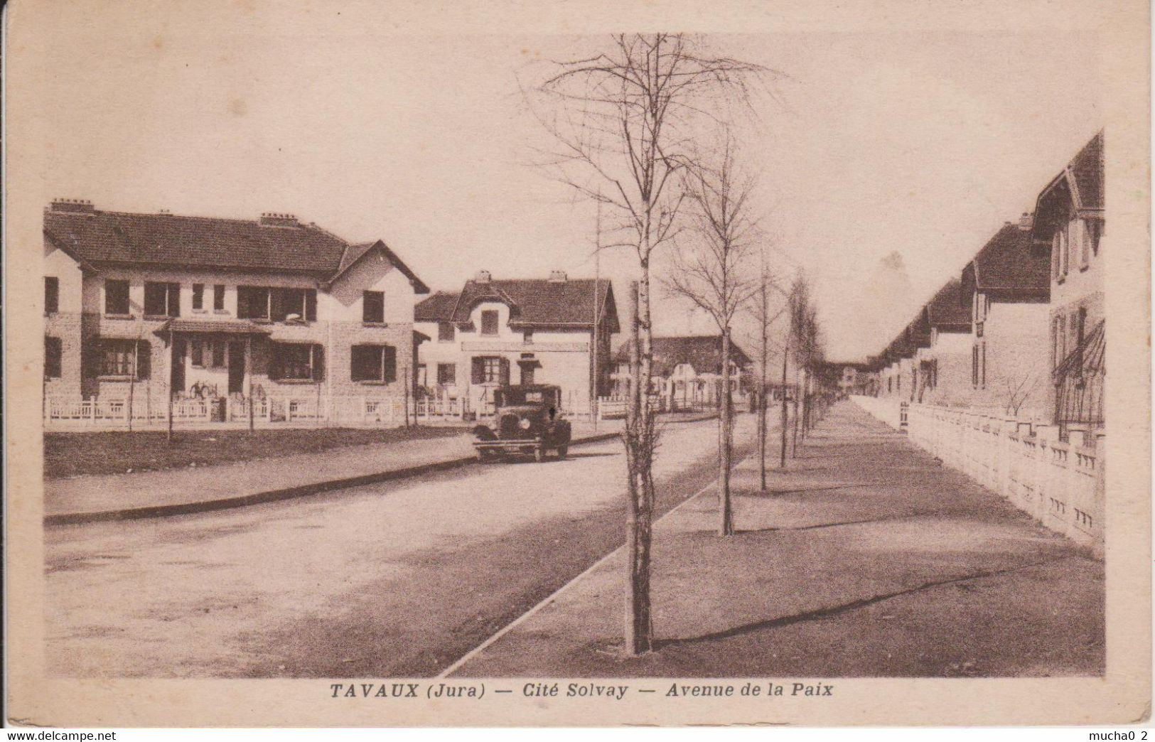 39 - TAVAUX - CITE SOLVAY - AVENUE DE LA PAIX - Tavaux