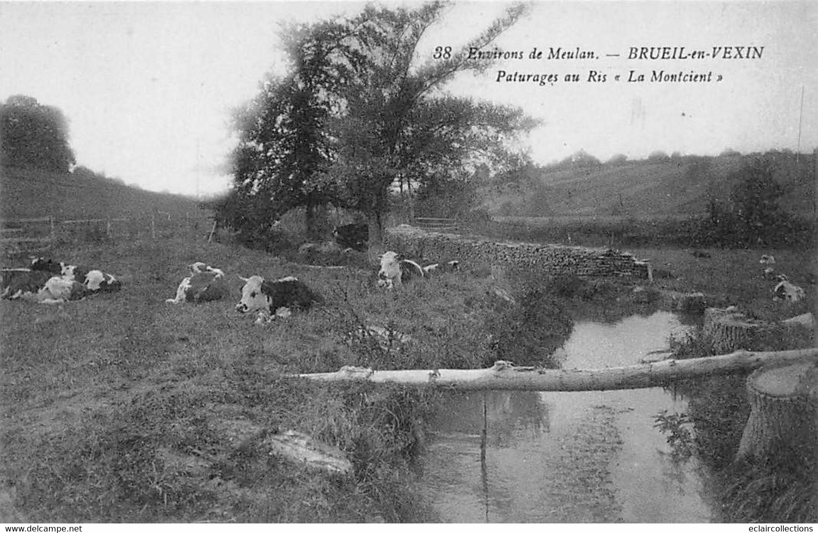 Brueil-en-Vexin      78         Pâturage Au Ris   " Le Montcient"           (voir Scan) - Otros & Sin Clasificación