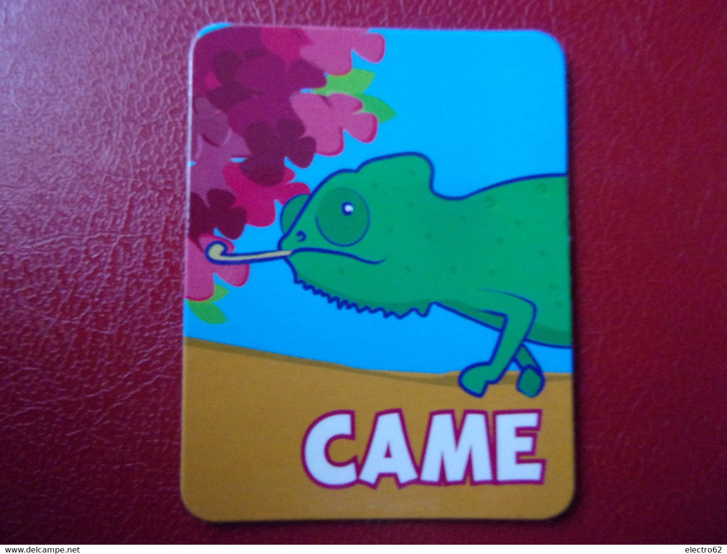 Magnet Petits Filous Caméléon Camaleonte Chamäleon Camaleon Chameleon - Animals & Fauna