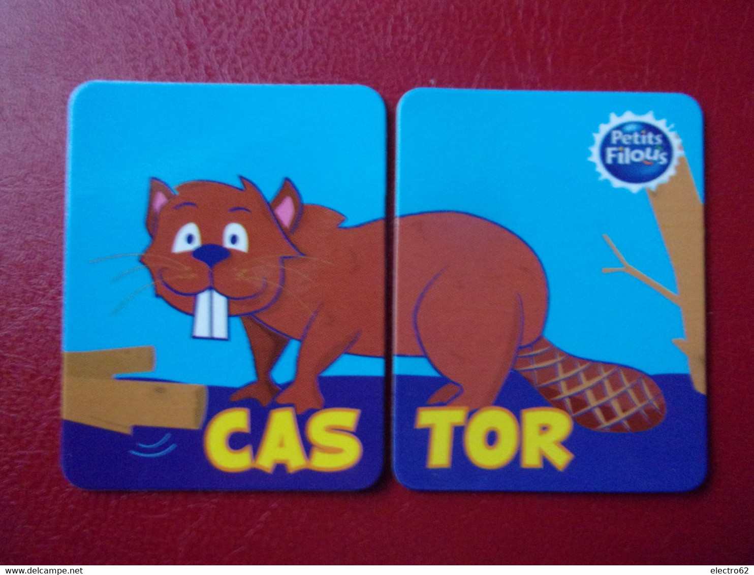 Magnet Petits Filous Castor Beaver Biber Castoro Bäver - Dieren & Fauna