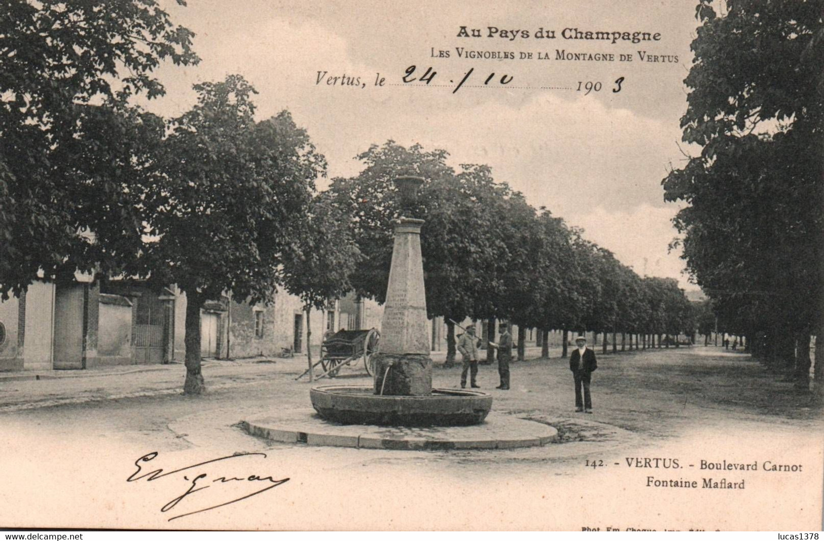 51 /VERTUS / BOULEVARD CARNOT / FONTAINE MAFLARD /  PRECUSEUR 1903 - Vertus