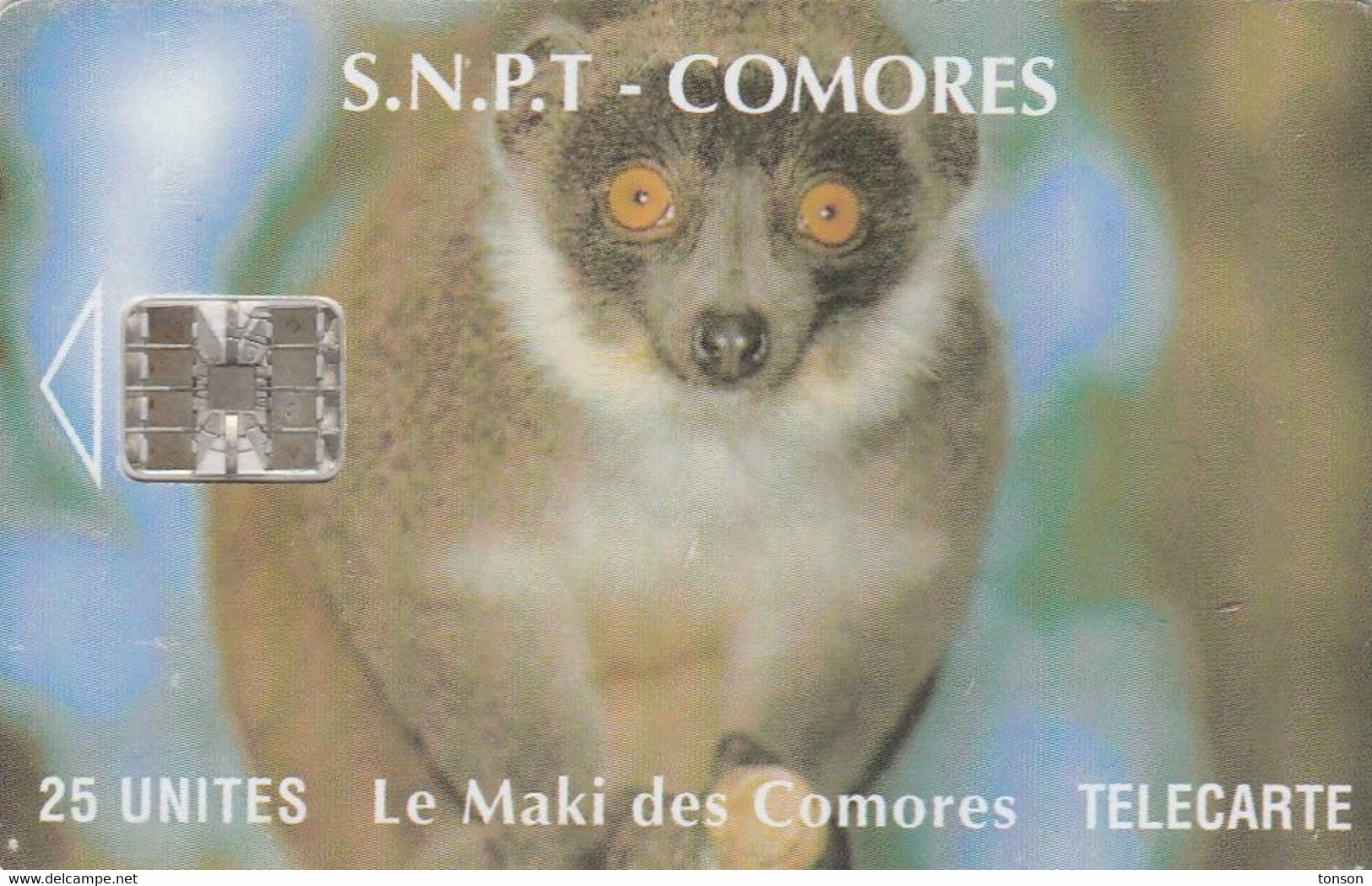 Comoros, KM-OPT-0008E, Le Maki Des Comores (SC7 - With Moreno Logo), Monkey, 2 Scans.   CN Bottom Right - Comoros