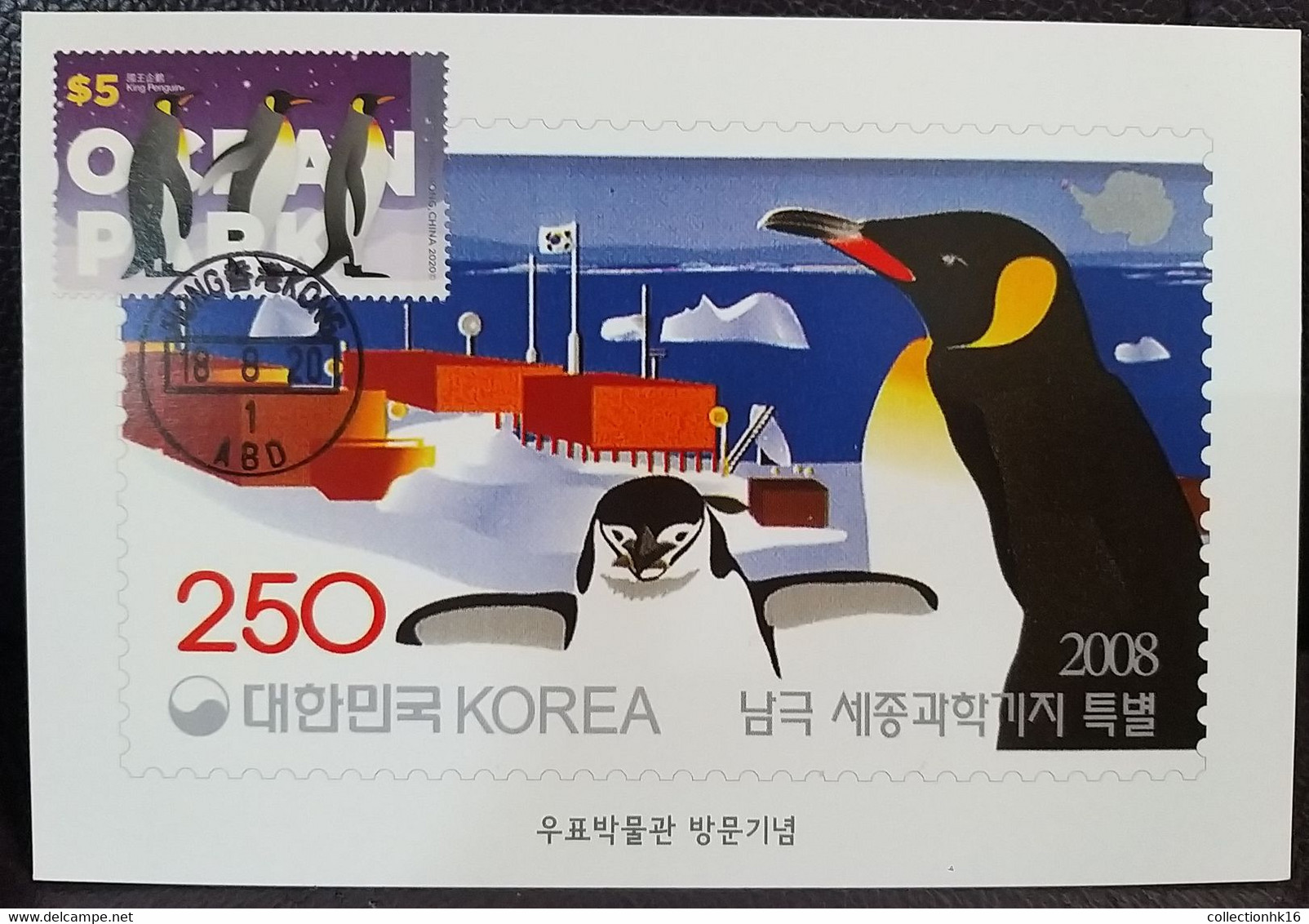 King Penguin Ocean Park Theme Park Hong Kong 2020 Maximum Card MC A - Cartoline Maximum