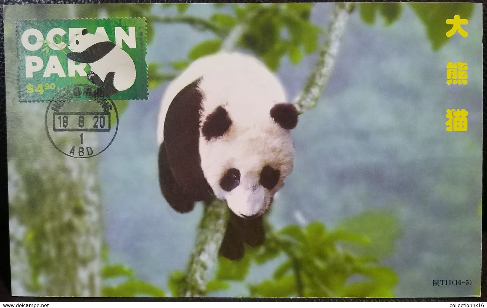 Giant Panda Ocean Park Theme Park Hong Kong 2020 Maximum Card MC C - Cartes-maximum