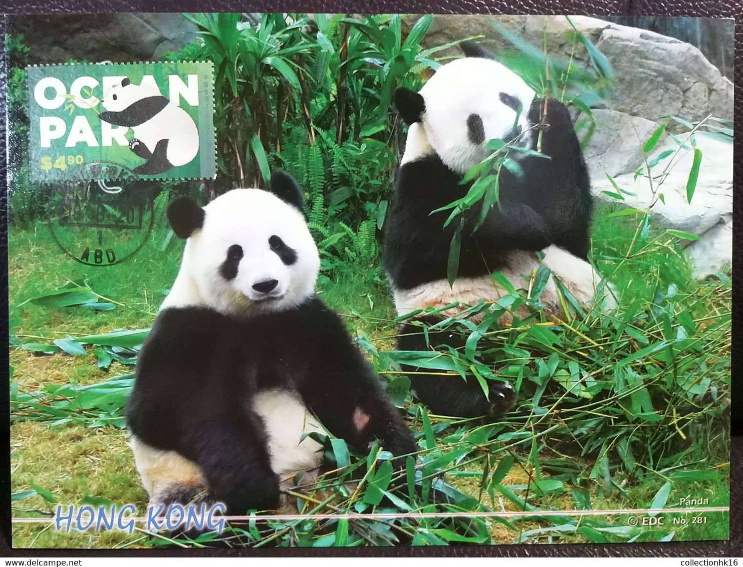 Giant Panda Ocean Park Theme Park Hong Kong 2020 Maximum Card MC D - Maximumkarten