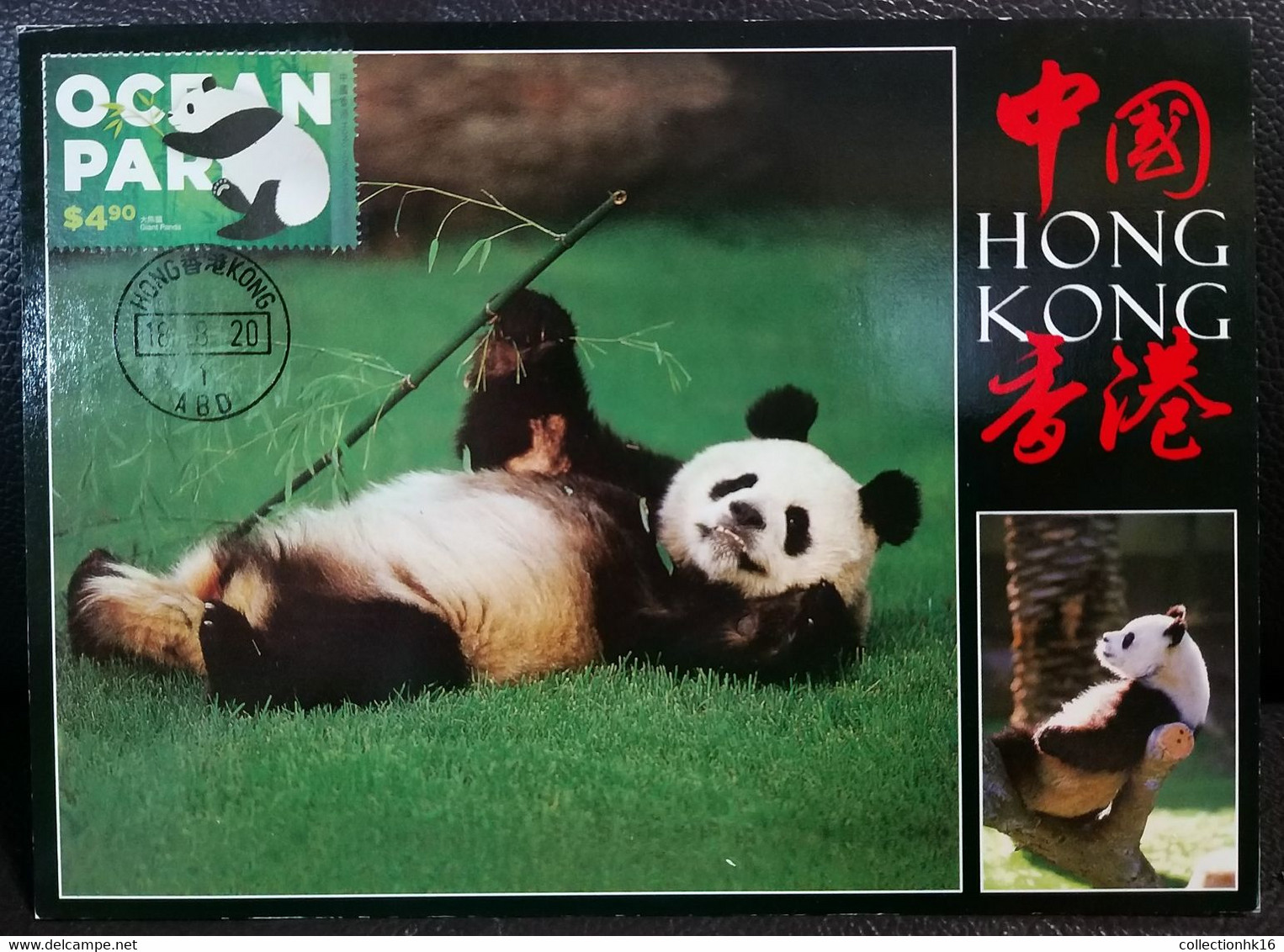 Giant Panda Ocean Park Theme Park Hong Kong 2020 Maximum Card MC E - Cartes-maximum